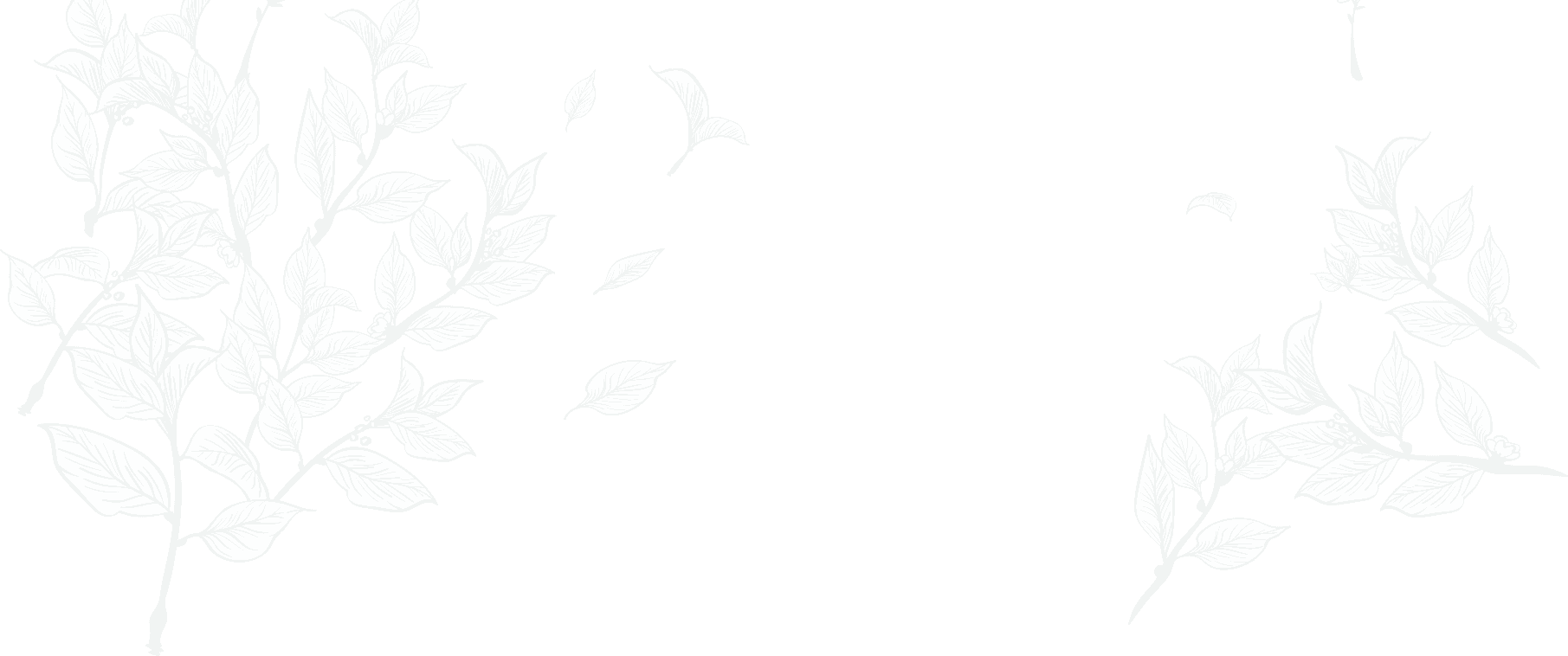 خلفية تنسيق حدائق