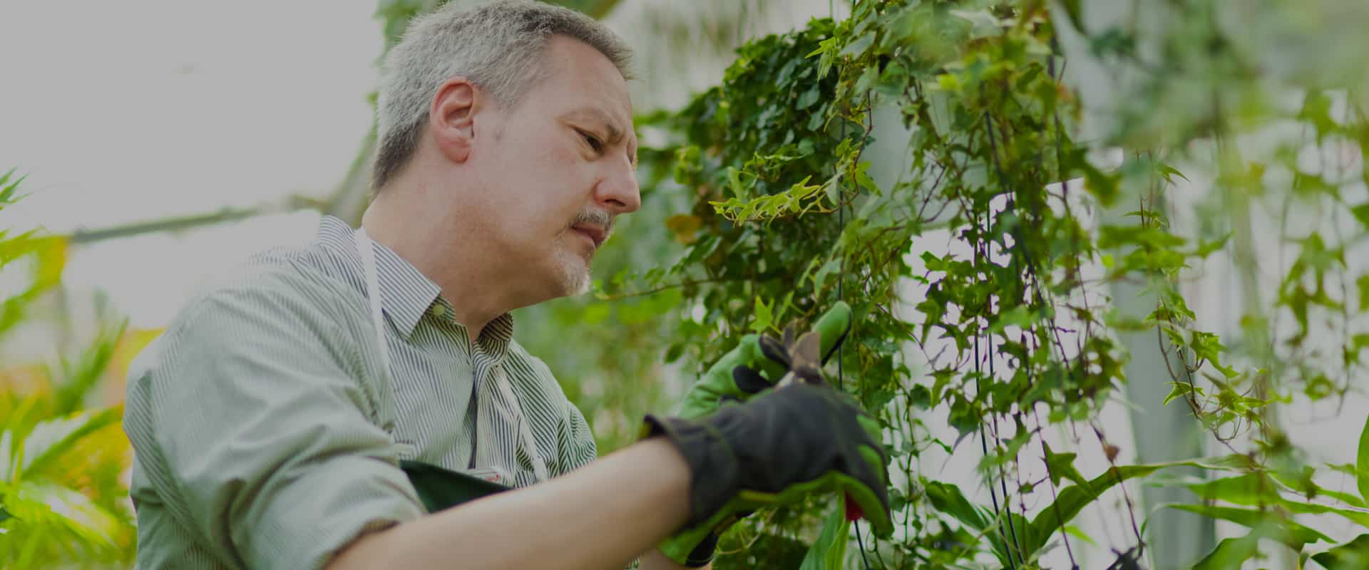 تصميم حدائق منزلية بافضل الطرق العصرية الحديثة