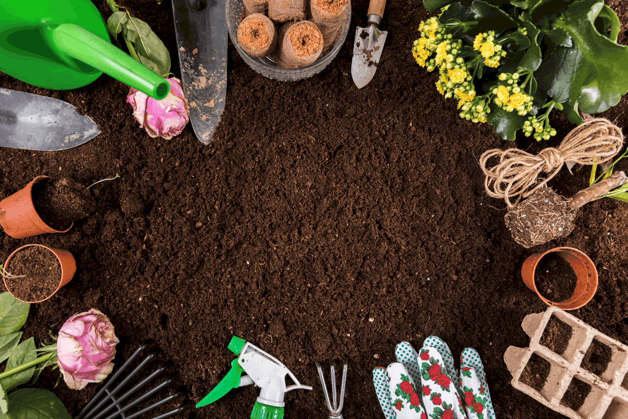 معلومات عن اكاسيا لاند سكيب لتنسيق الحدائق (بانر2)