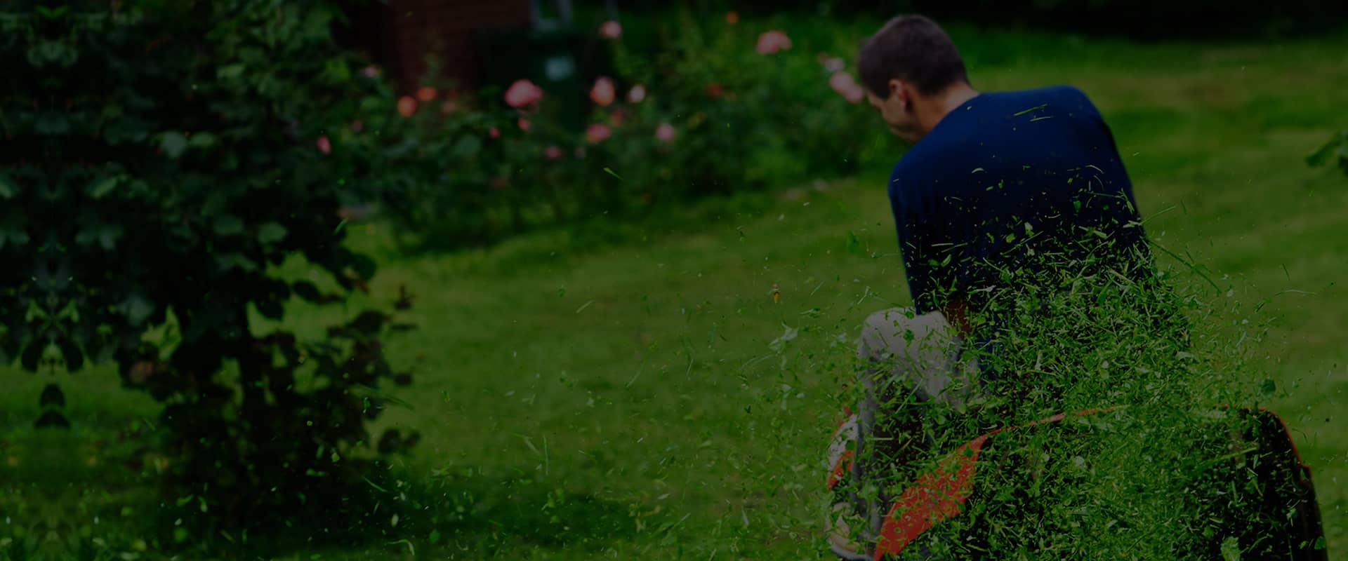 خدمات اكاسيا لاند سكيب لتنسيق الحدائق