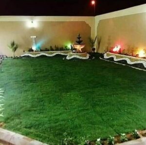 ثيل طبيعي الاحساء - اكاسيا لاند سكيب لتنسيق الحدائق