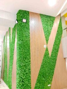 عشب جداري أبها - اكاسيا لاند سكيب لتنسيق الحدائق