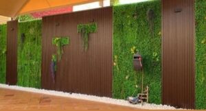 عشب جداري المدينة الدمام - اكاسيا لاند سكيب لتنسيق الحدائق