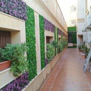 عشب جداري المدينة المنورة - اكاسيا لاند سكيب لتنسيق الحدائق