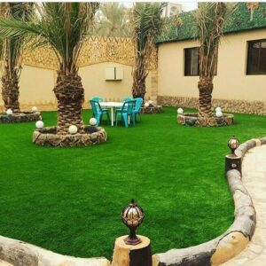 عشب طبيعي تبوك - اكاسيا لاند سكيب لتنسيق الحدائق