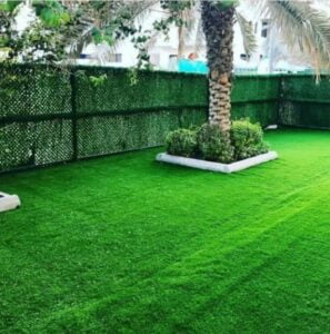 عشب طبيعي مكة المكرمة - اكاسيا لاند سكيب لتنسيق الحدائق