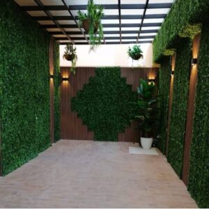 مظلات الخرج - اكاسيا لاند سكيب لتنسيق الحدائق